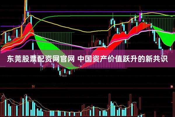 东莞股票配资网官网 中国资产价值跃升的新共识